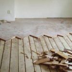 Olomouc 2003-2004 III