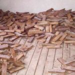 Olomouc 2003-2004 III