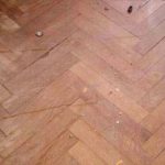 Olomouc 2003-2004 III