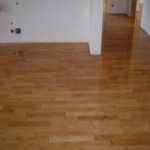 Olomouc 2003-2004 III