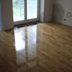 Olomouc 2003-2004 III