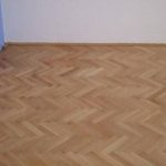 Olomouc 2003-2004 II